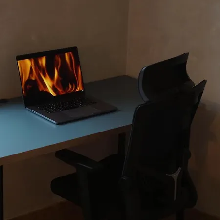 Stylish By The Rhine River *