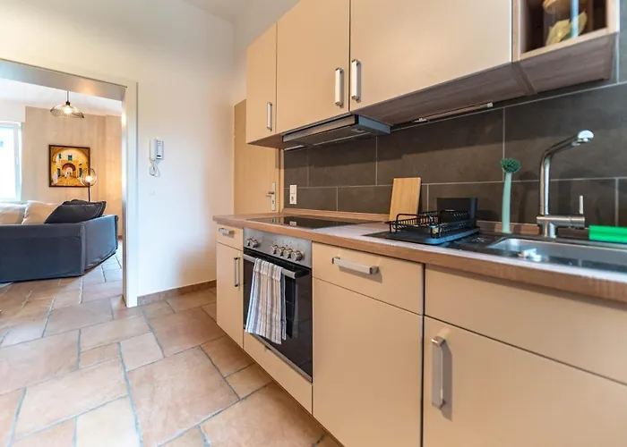 Stylish By The Rhine River Koblenz