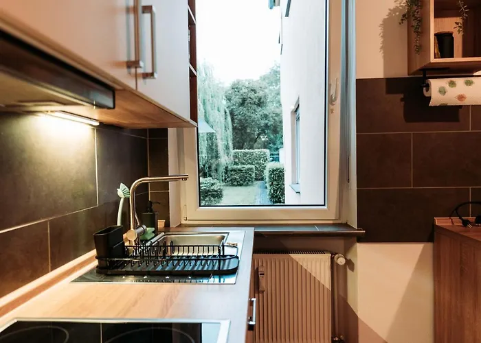 Stylish By The Rhine River Koblenz (Rhineland-Palatinate)