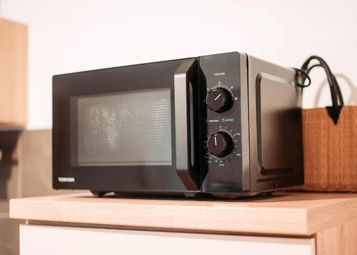 Stylish By The Rhine River Koblenz (Rhineland-Palatinate)